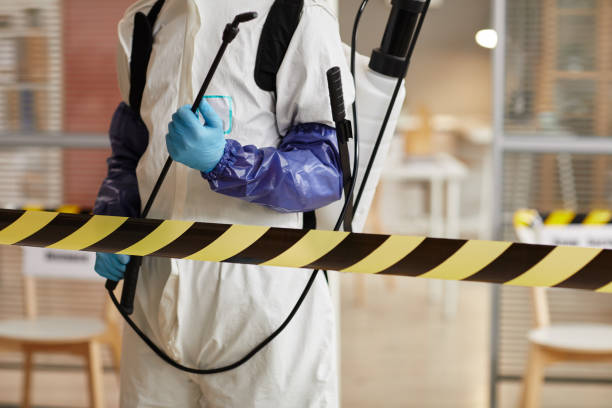 Professional Sewage Cleanup technician working in Greensboro, IN